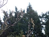 Promenad 2003-11-02 017.jpg